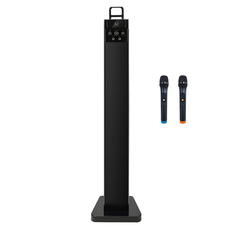 Portable Karaoke Tower Lautsprecher mit drahtlosem Mikrofon für BBQ Hochzeiten