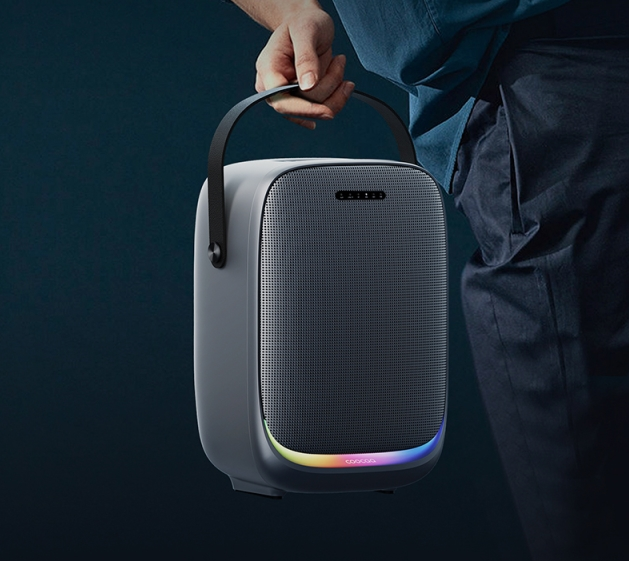30 W wasserdichter, kabelloser, tragbarer Bluetooth-Lautsprecher mit kabellosem Mikrofon